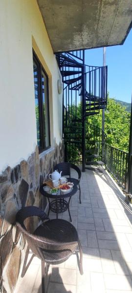 Guest House Bochora